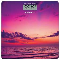 SCARLETT SC-BS33E024