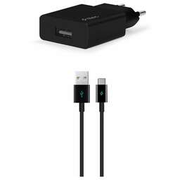 TTEC Сетевое зарядное устройство SmartCharger Travel Charger 2.1A с кабелем Lightning для зарядки и передачи данных. Цвет: черный