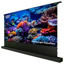 CACTUS Экран FloorRising CS-PSFRCLR-263X148, 263х148 см, 16:9, напольный черный