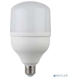 Эра LED POWER 20W-2700-E27