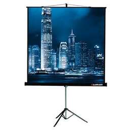 LUMIEN Экран Master View LMV-100108, 244х183 см, 4:3, напольный черный