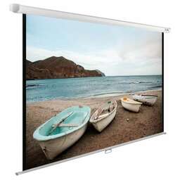CACTUS Экран WallExpert CS-PSWE-220x138-WT, 220х138 см, 16:10, настенно-потолочный белый