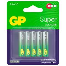 GP (20534) 24A/IVI-2CR10_gtech