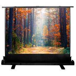 CACTUS Экран FloorExpert CS-PSFLE-180X135, 180х135 см, 4:3, напольный