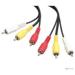 Bion Expert BXP-CCV-539-018M