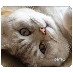 PERFEO (PF_D0654) "Cat"