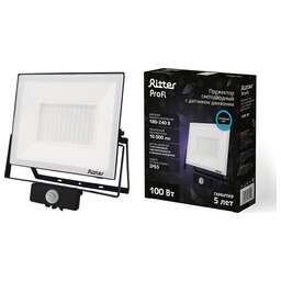 RITTER 53424 6 PROFI 100 Вт 6500К с датчиком движения черный