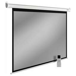 CACTUS Экран 98" 150x200см SIlverMotoExpert CS-PSSME-200X150-DG 4:3 настенно-потолочный рулонный темно-серый (моторизованный привод)