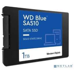 Western digital WDS100T3B0A