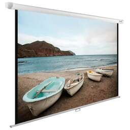 CACTUS Экран 102" 138x220см WallExpert CS-PSWE-220x138-WT 16:10 настенно-потолочный рулонный белый