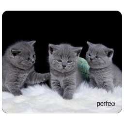 PERFEO (PF_D0670) "Cat"