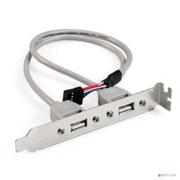 EXEGATE BrctUSB2-2A ( EX298294RUS)