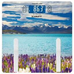 SCARLETT SC-BS33ED11