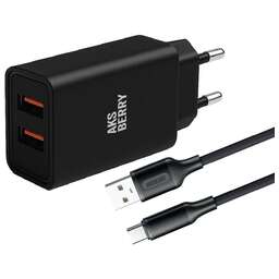 AKSBERRY (6900209230014) T38 2 USB 2.4A + кабель Type C, черный