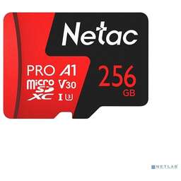 Netac NT02P500PRO-256G-R