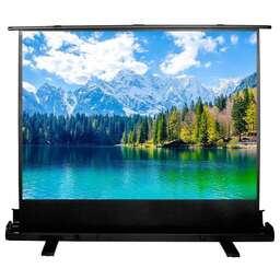 CACTUS Экран FloorExpert CS-PSFLE-160X90, 160х90 см, 16:9, напольный