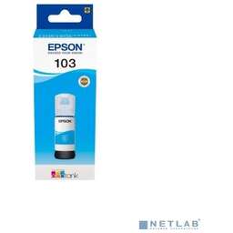 Epson C13T00V298