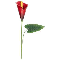 PARK Штекер садовый Калла Ред Алерт (108840)