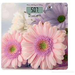 SCARLETT SC-BS33E049