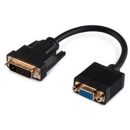 BURO DVI-D (m) - VGA (f), 0.23м, черный [bu-dvi-vga]