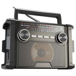 SOUNDMAX SM-RD2120UB черный