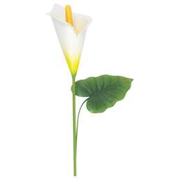 PARK Штекер садовый Калла Эфиопская (108839)