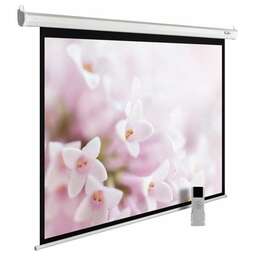 CACTUS Экран MotoExpert CS-PSME-240x240-WT, 240х240 см, 1:1, настенно-потолочный белый