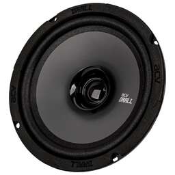 ACV DR6 DRALL эстрадная акустика 6.5 широкополосная