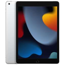 APPLE Планшет 10.2" iPad 2021 WiFi + Cellular 64Gb Silver (MK673LL/A) Нужен переходник на EU