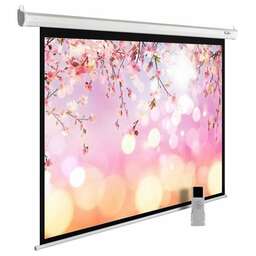 CACTUS Экран MotoExpert CS-PSME-220x220-WT, 220х220 см, 1:1, настенно-потолочный белый