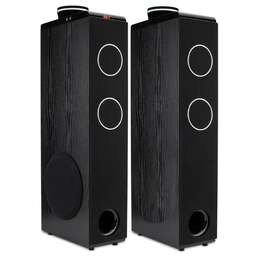 ELTRONIC (30-49 черный) HOME SOUND - колонки 10 ", черный