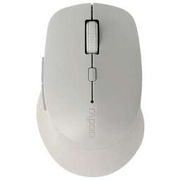 Rapoo M300