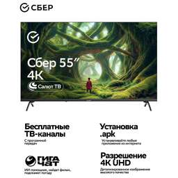SBER SDX 55U5500DBB