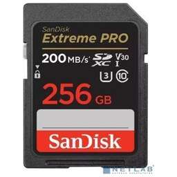 SanDisk SDSDXXD-256G-GN4IN