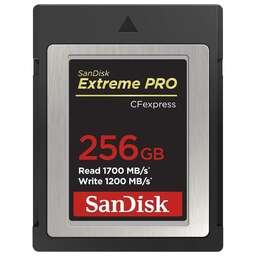 SANDISK Карта памяти ExpressCard Extreme Pro 256 ГБ, 1700 МБ/с, Class 3, SDCFE-256G-GN4NN, 1 шт., без адаптера