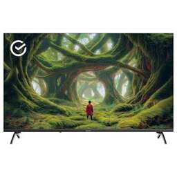 SBER 43" SDX-43F3000DBA