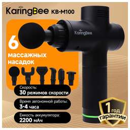 KARINGBEE KB-M200