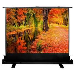 CACTUS Экран FloorExpert CS-PSFLE-200X150, 200х150 см, 4:3, напольный