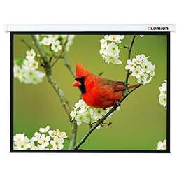 LUMIEN Экран 171x128см Master Picture LMP-100108 4:3 настенно-потолочный рулонный белый