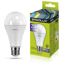 ERGOLUX (14228) LED-A65-25W-E27-6K