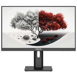 RDW COMPUTERS Монитор 23.8" RDW2401K черный IPS 4ms 16:9 HDMI M/M матовая HAS Piv 1200:1 300cd 178гр/178гр 1920x1080 100Hz VGA DP FHD 1.7кг (RUS)