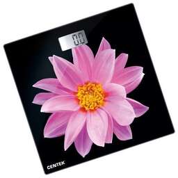 CENTEK CT-2416 Pink Flower