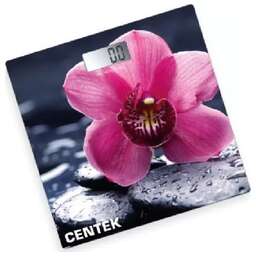 CENTEK CT-2421 Цветы