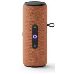 ЯНДЕКС Умная колонка Стрит 30Вт, с Алисой на YaGPT, оранжевый [yndx-00030org]