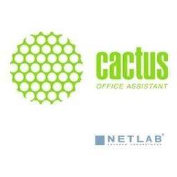 CACTUS MA6230500 Фотобумага матовая, 10х15, 230 г/м2, 500 листов