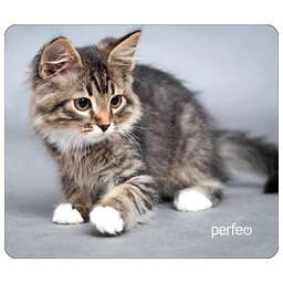 PERFEO (PF_D0661) "Cat"