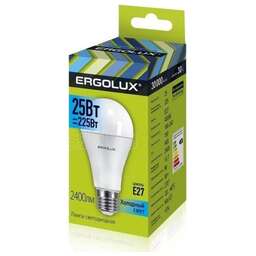 ERGOLUX (14236) LED-A65-25W-E27-4K