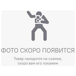 STARWIND Воздуходувка SBB-570.20-0.0, без АКБ, без ЗУ, красный