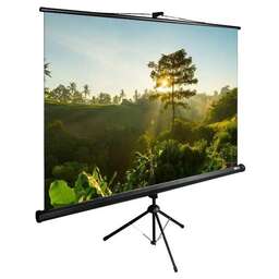 CACTUS Экран 111" 200x200см TriExpert CS-PSTE-200x200-BK 1:1 напольный рулонный черный