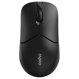 RAPOO Беспроводная мышь 1510, черный